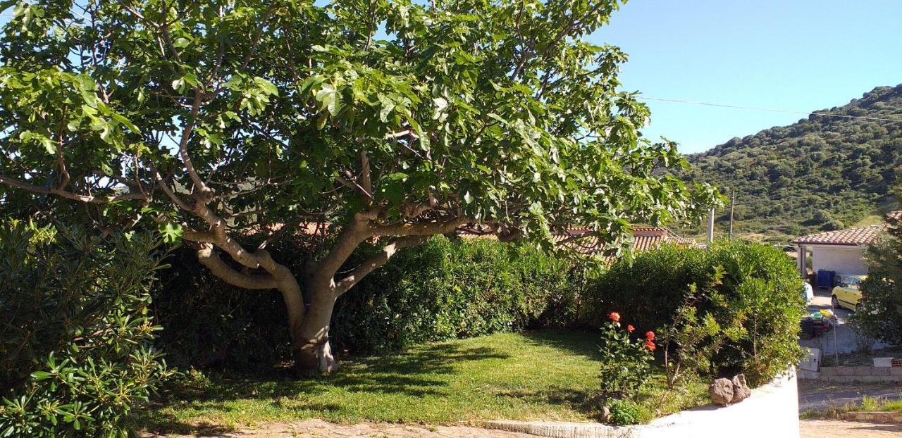 Casa Orvile San Lorenzo  Esterno foto