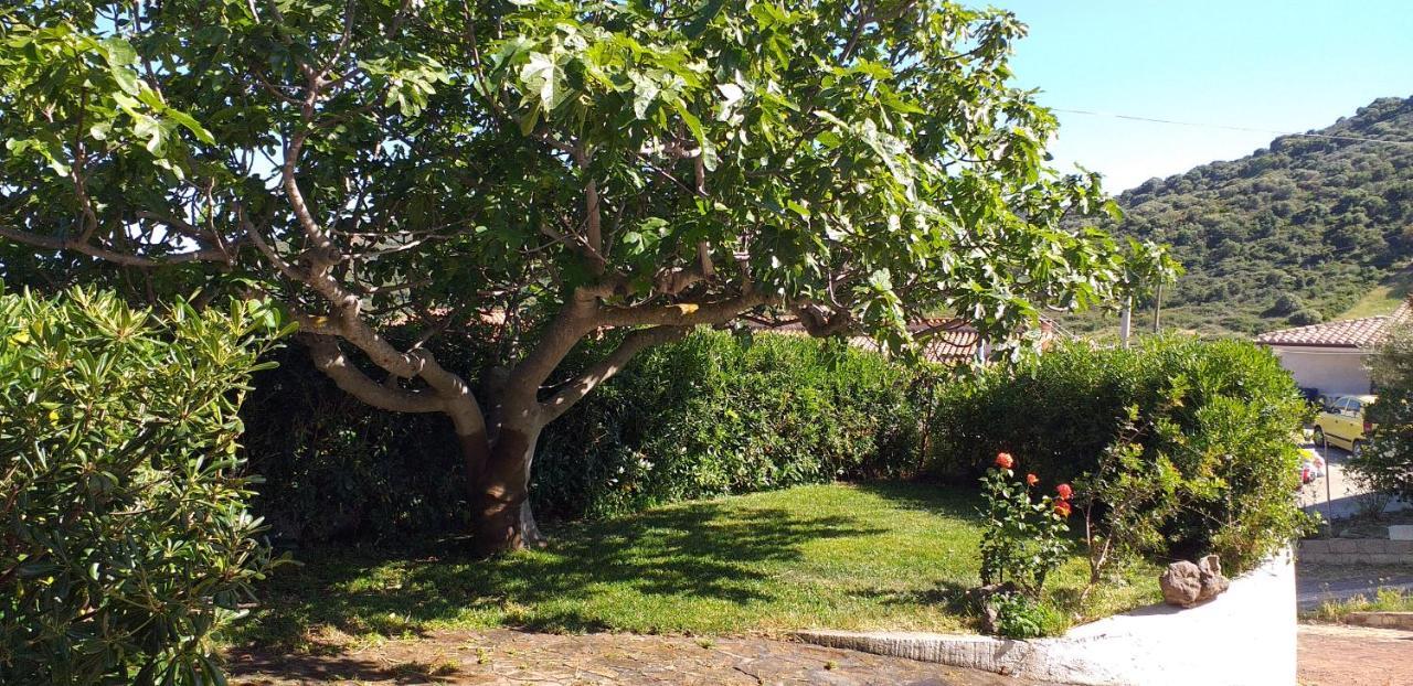 Casa Orvile San Lorenzo  Esterno foto